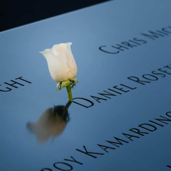 White rose placed on reflective 9/11 memorial, honoring the fallen.